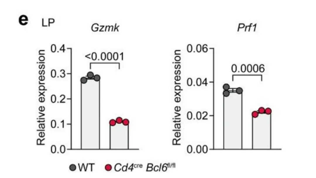 CD4ᶜʳᵉBcl6ᶠˡ/ᶠˡ(Tfh 缺陷)