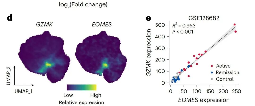 EOMES 与 Gzmk 共表达模式(scRNA-seq 与 bulk RNA-seq)