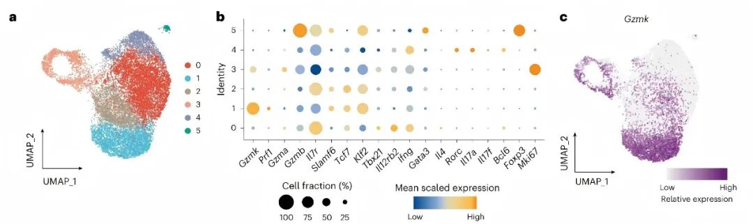 小鼠结肠炎模型 scRNA-seq 中鉴定出同样 Cluster
