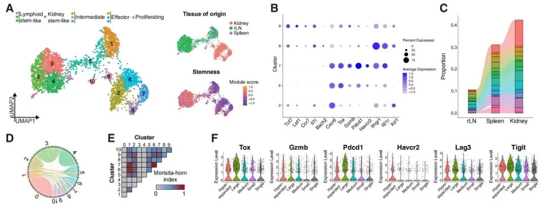 scRNA-seq + scATAC-seq + scTCR-seq 三模态整合