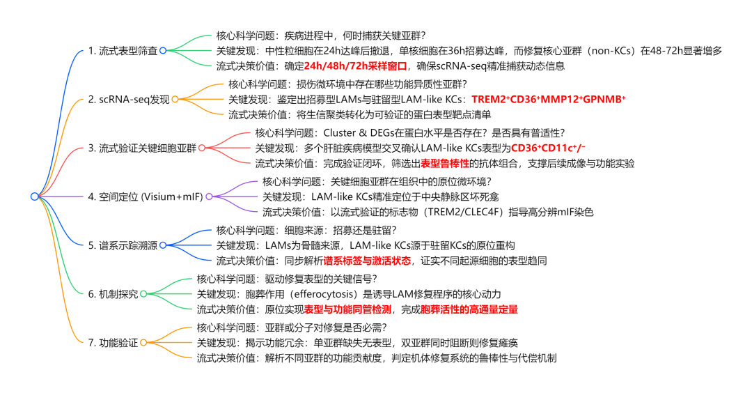 文献研究思路思维导图