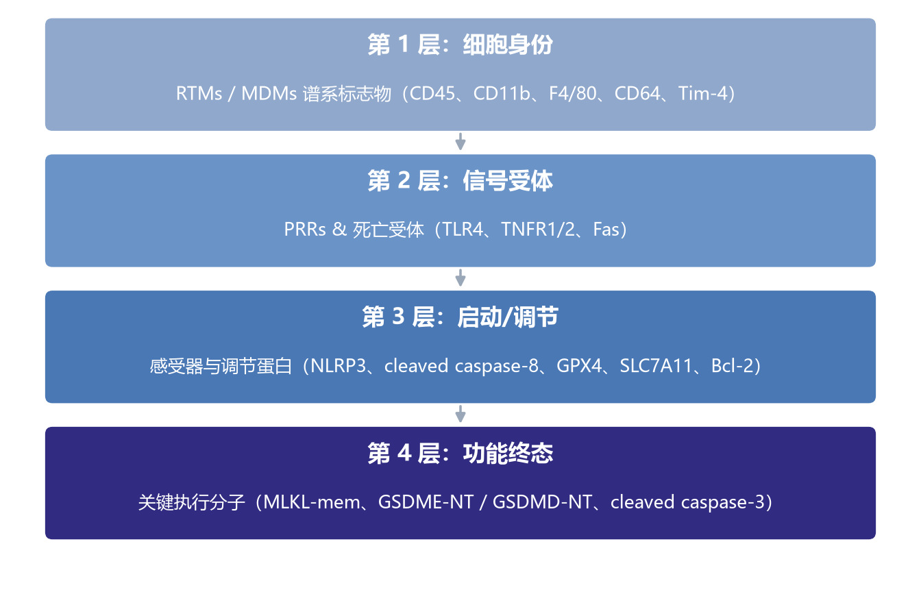 四层标志物体系示意图