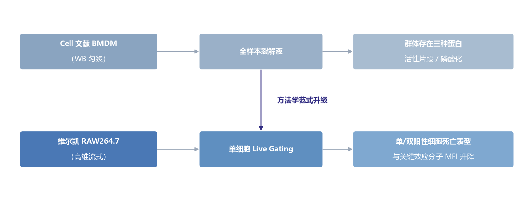 方法学范式升级示意图