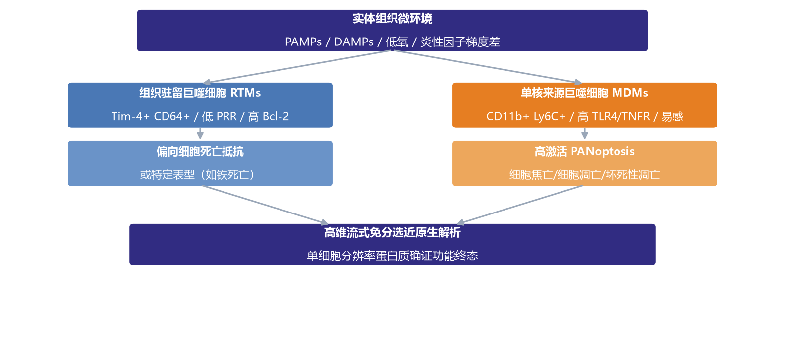 实体组织微环境示意图