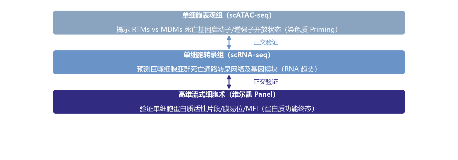 多组学正交验证示意图
