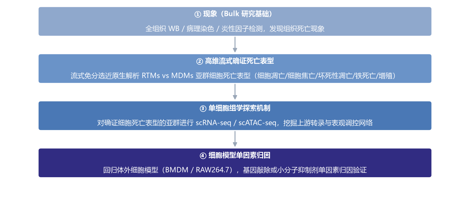 四步研究逻辑链示意图